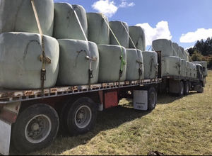 प्लास्टिक कृषि सफेद पैकिंग गोल साइलेज/घास बाले/गांठ - Product Image 5