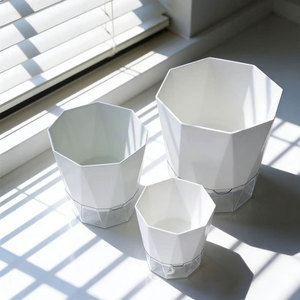Bac en plastique de taille gallon pour plantes auto-arrosantes sans eau : Pothos, roses, orchidées de balcon et succulentes - Product Image 4