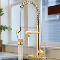 Robinet d'évier de cuisine série avec robinet à ressort commercial à douchette rétractable