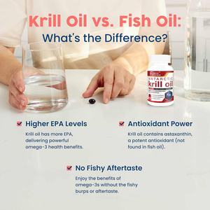 Huile de Krill Premium 500mg Extraits d'Oméga 3 Gélules Molles pour Femmes et Hommes Soutient la Mobilité des Articulations et la Fonction Mentale 60 Gélules Molles - Product Image 3