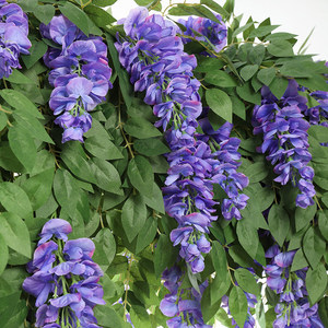 Guirlandes de glycine artificielle raffinée à double pétales en soie, plantes suspendues pour décoration de mariage et d'extérieur, décoration intérieure - Product Image 3