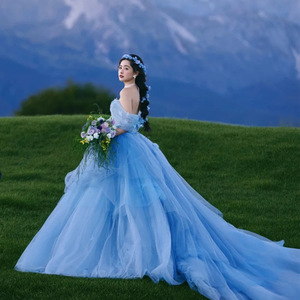 Blue Strapless Tulle Ball Gown Wedding Dress Natural Waistline Outdoor Forest Style Fashion Couple Photography Travel Street - Product Image 1