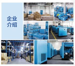 Secador de compresor de aire de tornillo eléctrico de 30HP/22Kw, 10 Bar, 3, 2 m3/min, 113.0cfm, nuevos componentes de tanque de motor usado, aire incluye rodamiento - Product Image 2