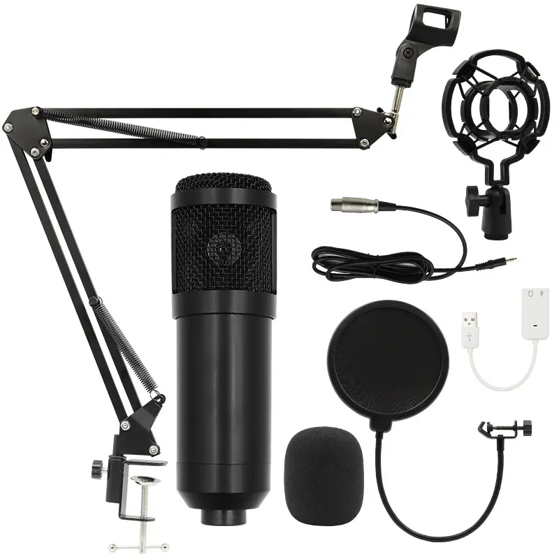 Fabrik-Direktmikrofon Bm800 Mikrofon Studioaufnahmeausrüstung professionell