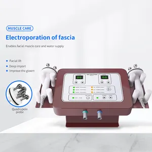 2 em 1 dispositivo profissional de eletroporação japonesa mais recente para beleza, dispositivo profissional de micro corrente