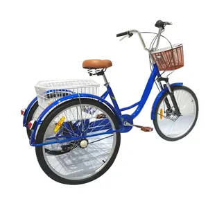 Ce Maatwerk Hot Verkoop Elektrische Driewieler Trike 36v12ah Lithium Batterij 750W Stalen Frame Bakfiets