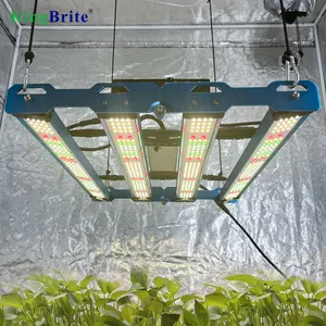 UV IR Separate Switches, KingBrite LED 240W P55 Samsung LM301H EVO Mint White with Emerald Green Led Grow Light