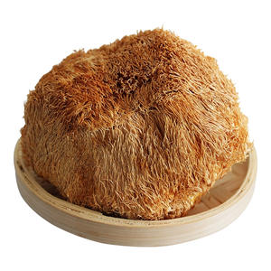 Hongo Melena de León Seco Premium, <span class=keywords><strong>Hericium</strong></span> <span class=keywords><strong>Erinaceus</strong></span> Natural Fresco y Seco para la Salud Cerebral y la Digestión - Product Image 1