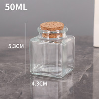Offre Spéciale – Mini Bouteille Carrée Vide en Verre Transparent de 50 ml pour Herbes et Épices de Cuisine avec Bouchon en Liège