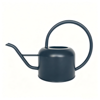 Arrosoir en fer avec revêtement en poudre, taille et couleur personnalisables, arrosoir de jardin en métal avec long bec pour plantes d'intérieur et d'extérieur