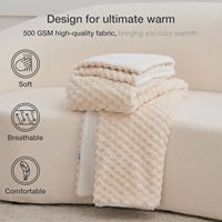 Épais et chaud réversible super doux luxueux Sherpa polaire couverture en peluche