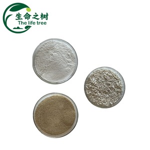 Zat penstabil dan penstabil bubuk alginat natrium diskon kelas makanan untuk bahan makanan - Product Image 2