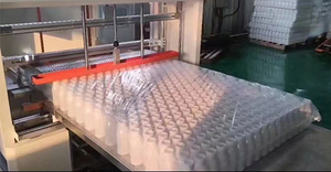 Machine d'emballage <span class=keywords><strong>auxiliaire</strong></span> semi-automatique SanLi pour bouteilles en plastique <span class=keywords><strong>de</strong></span> différentes tailles et capacités Garantie 1 an Facile à utiliser - Product Image 4