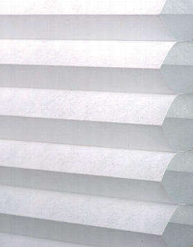 โปร่งแสง2