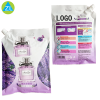 Sac de détergent de blanchisserie de logo d'impression personnalisée pour les cosmétiques industriels sac d'emballage en plastique de soin personnel avec la buse d'aspiration 1.3KG