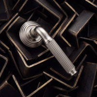 Poignée de porte à levier cannelée ISILINE en laiton massif nickelé PVD avec roseau concentrique et embout conique pour intérieur