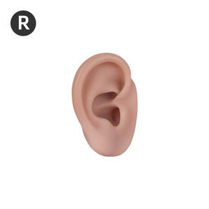 Modelo de Oído de Silicona 5D - Herramienta de Enseñanza de Puntos de Acupresión, Exhibición de Auriculares y Joyería para Aretes - Product Image 2