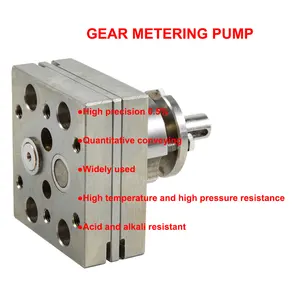 Chinese High Precision High Quality Stainless Steel Chemical Liquid Gear Metering Pump