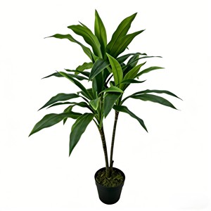 Árbol de Hierro de Sangre de Dragón de Simulación Bicolor Zhu Jiao para Decoración de Escenas de Hotel, Navidad y Graduación - Product Image 1