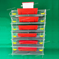 Équipement d'élevage avicole commercial le plus vendu : Cage à cailles à vendre