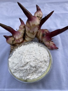 Polvo de arrowroot 100% natural y orgánico de Vietnam - Product Image 3