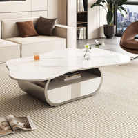 Table basse papillon moderne, durable et écologique avec plateau en pierre frittée, étagère de rangement ovale, tiroir et base en acier inoxydable, meuble en MDF