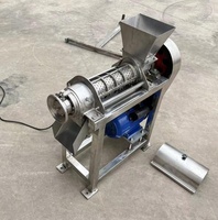 Machine à jus de fruits / Extracteur de jus de fruits pour gingembre et fraises / myrtilles