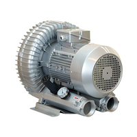 Bomba de aire de vacío de alta presión industrial de 5.5KW Soplador regenerativo de anillo de vórtice