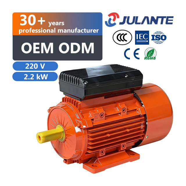 Moteur Electrique Single Phase 3Hp 220V Ac Electrical Induction Motors Industrial Electric Fan Motor