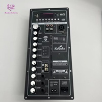 Module amplificateur audio numérique intégré pour karaoké, carte amplificateur de puissance HIFI 200 W avec USB et FM, idéal pour les enceintes portables