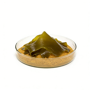 Extracto de Algas Marinas Natural de Grado Alimenticio, Extracto de Kelp en Polvo para Suplementos de Salud - Product Image 4