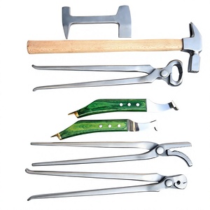 Juego completo de herramientas Farrier, herramienta de pinza de pezuña, zapato de conducción, martillo, cuchillo de bucle, amortiguador de pezuña, sillín, remachador, extractor de escofina, herramienta de herradura - Product Image 1