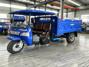 Triciclo Diesel per Carichi Pesanti con Accensione Elettrica per Trasporto Merci su Strade Difficili - Prezzo di Fabbrica - Product Image 6