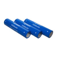 Batterie LiFePO4 Tipsun IFR32140 3.2V 15Ah 48Wh, cellule cylindrique au lithium à cycle long pour scooter électrique