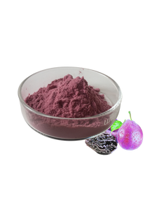 Chất lượng hàng đầu cấp thực phẩm tối mận armeniaca mẹ Sieb <span class=keywords><strong>Fructus</strong></span> mẹ chiết xuất bột - Product Image 3