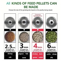 Machine de fabrication de granulés d'aliments pour lapins, cailles et oiseaux pour l'élevage domestique