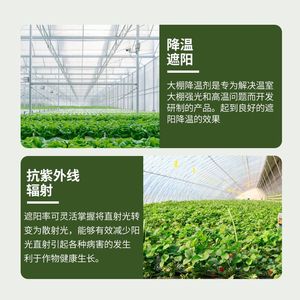 Agente de sombreado para invernaderos, líquido refrescante de 300 ml para verduras y plantas - Product Image 1