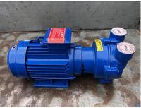Pompa Vakum Cincin Air 2BV Listrik 4KW |   Motor DC Hisap Ganda Satu Tahap 0.5 HP Efisiensi Tinggi OEM Dapat Disesuaikan untuk Kinerja Tinggi