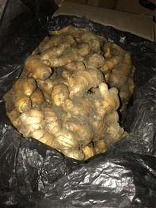 Zenzero Fresco - Piccante, Non-OGM da Fornitori Cinesi Affidabili Zenzero Fresco - Product Image 5