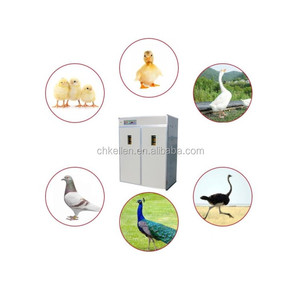 Incubadoras de Alta Calidad con Garantía Comercial para Incubar Huevos - Product Image 2