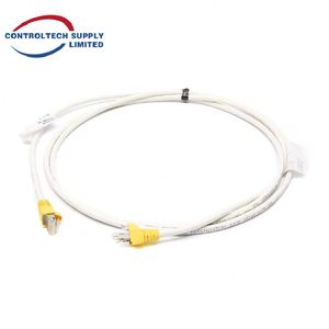 Cable Interno para Gabinete, Nuevo, 51304465-300, 100CM, Par Trenzado Blindado, para Experion PKS TDC 3000 DCS - Product Image 6