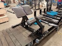 Chaise romaine la plus vendue pour salle de sport commerciale, banc d'extension dorsale, machine d'entraînement corporel, banc romain