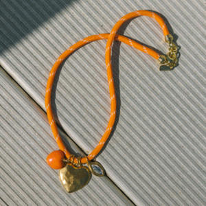 מותג חדש אופנה שרשרת כבל צבעוני עם תליון נירוסטה שרשרת תכשיטים עמיד למים לנשים - Product Image 4