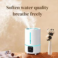 Nouvel Humidificateur Électrique Ultrasonique OEM 2026 Personnalisé en Plastique avec Lumière Colorée, Grande Capacité 5L, Faible Bruit