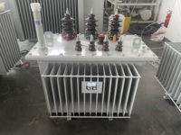 Transformateur Série S13 10kV 20kV avec efficacité énergétique, boîtier de haute qualité IP30/IP40/IP54, directement de l'usine