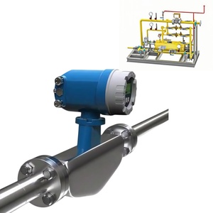 เครื่องวัดการไหลแบบคอริโอลิสเคมี Endress+Hauser Proline Promass E 300 เครื่องวัดการไหลแบบดิจิตอลคอริโอลิสสแตนเลสสตีล - Product Image 1