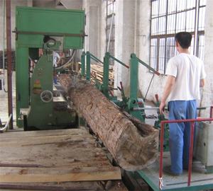 Máquina Automática de Aserradero de Cinta para Cortar Troncos de Madera, Sierra de Cinta Vertical para Carpintería con Carro Portador para Corte Rápido - Product Image 3