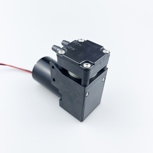 Pompe à air à piston DF-07 <span class=keywords><strong>650kpa</strong></span> Brushless longue durée à faible bruit DC12V 24V Compatible gonflage dégonflage pompe à vide électricité - Product Image 4