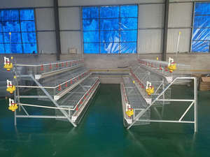 Approvisionnement d'usine galvanisé à chaud 60 oiseaux/poulets capacité Cage à poulet volaille Cage à poulet - Product Image 3