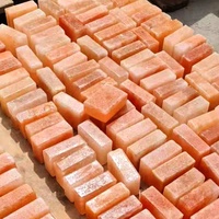 Toutes les tailles Vente en gros SPA Sauna Cave à sel Halo Thérapie pour décorations de Noël Pakistan Himalaya Tuile de sel Blocs de briques